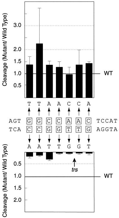 FIG. 4