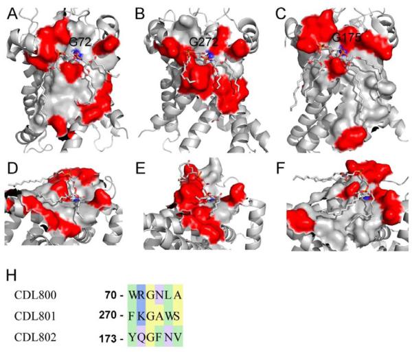 Fig. 6