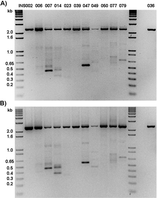 Fig 5