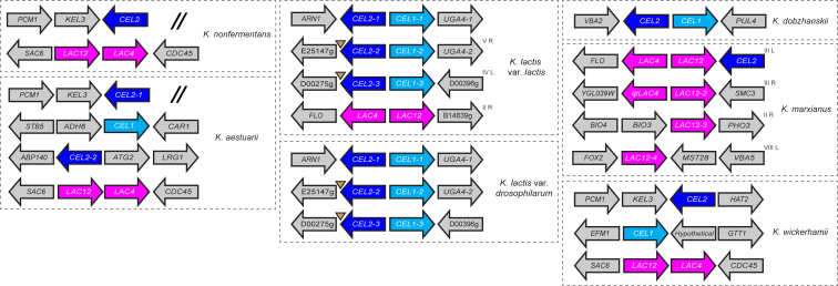 Figure 3