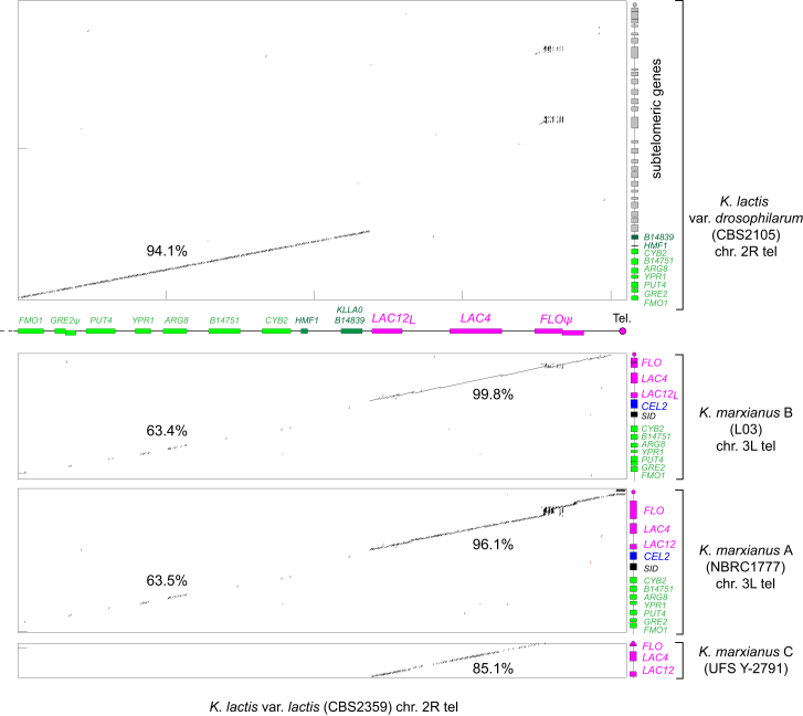 Figure 2