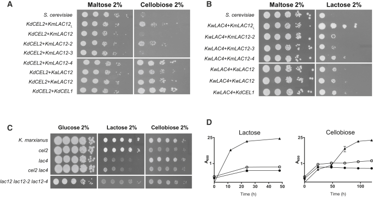 Figure 4