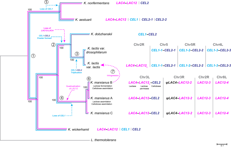 Figure 1