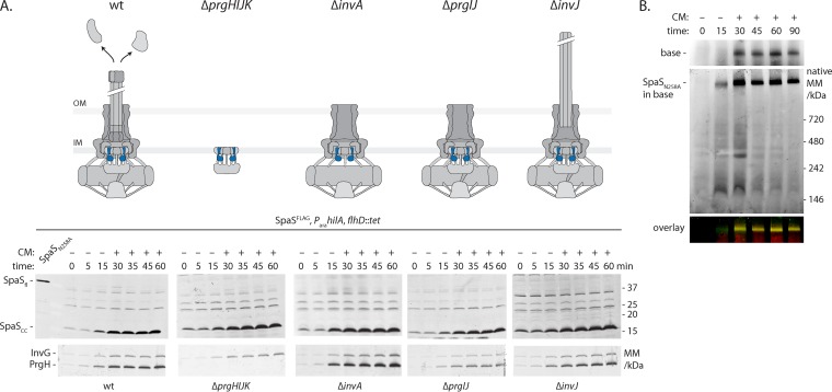 FIG 3 