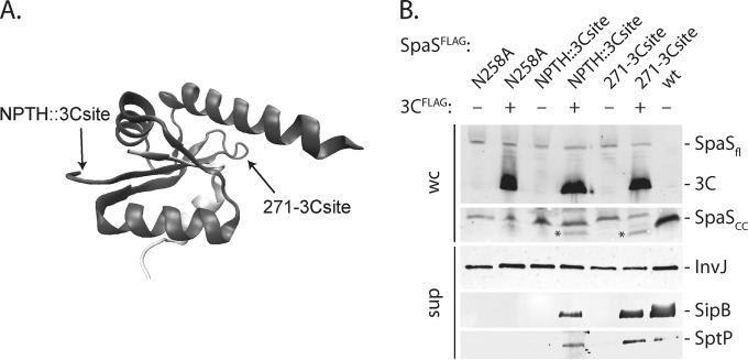 FIG 5 