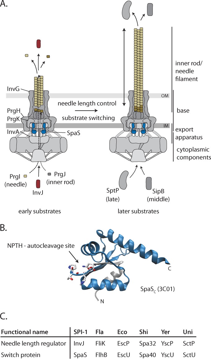 FIG 1 