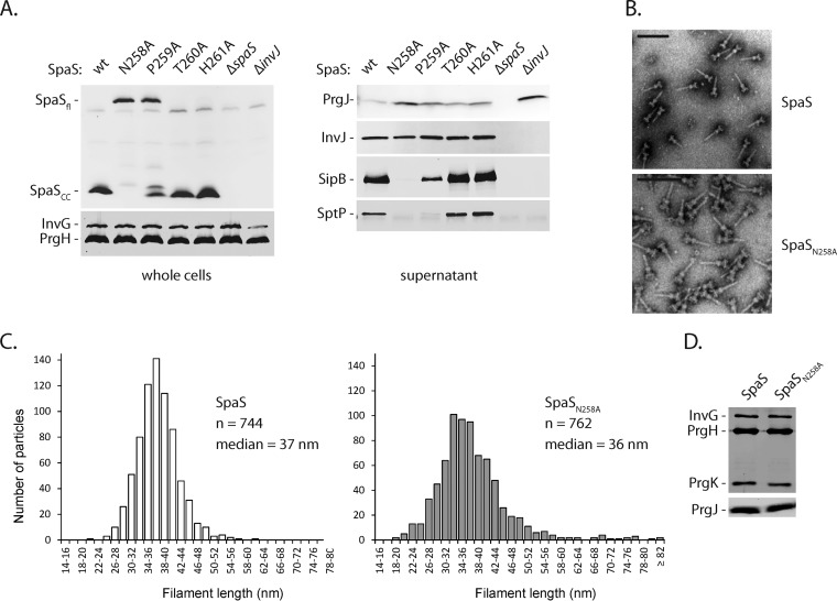 FIG 2 