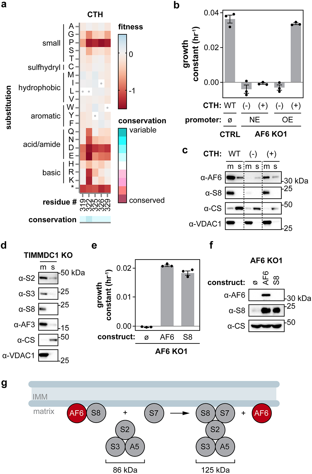 Figure 4: