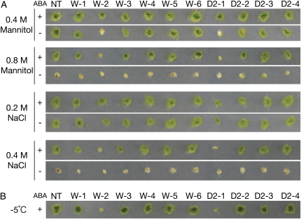 Figure 7.