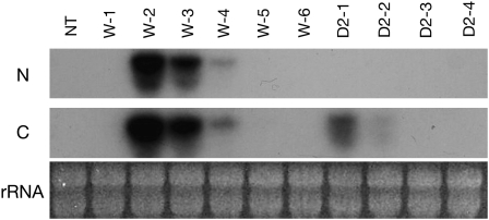 Figure 6.