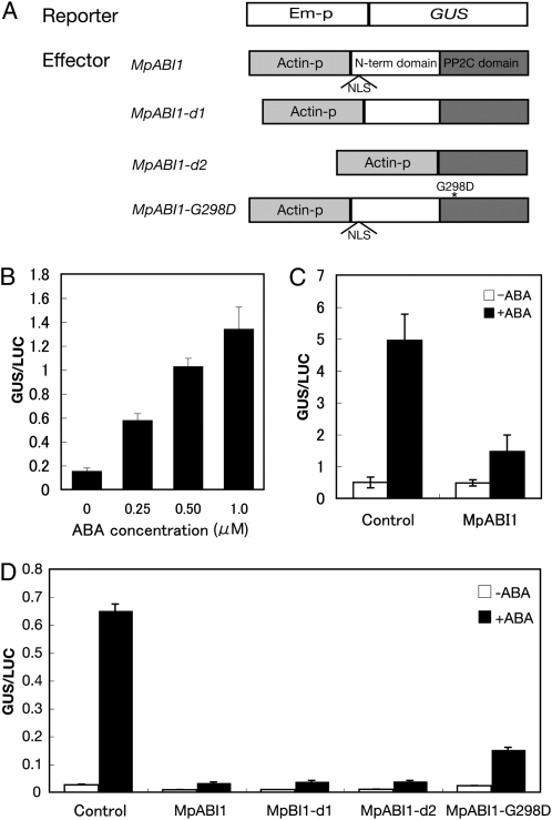 Figure 5.