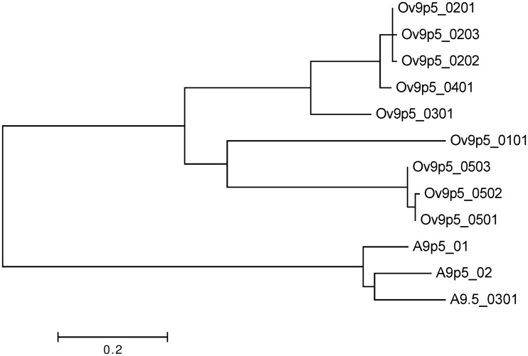 Fig 3