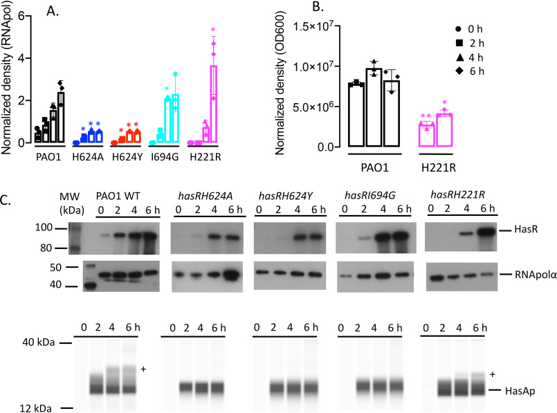 Figure 10.