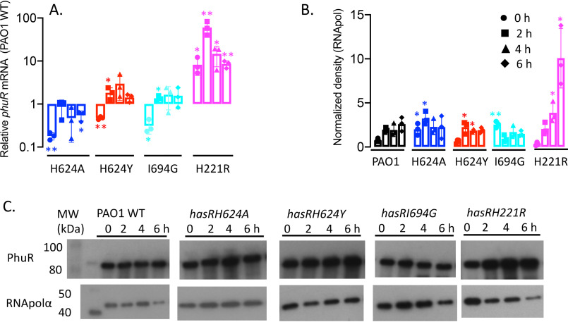 Figure 4.