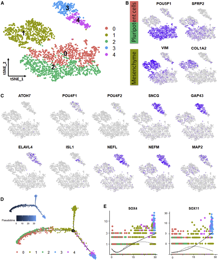 Figure 3