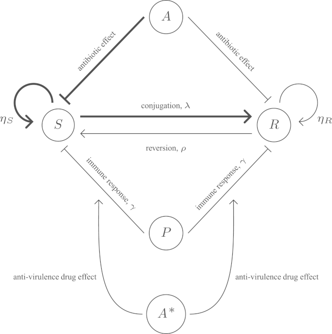 Fig. 1