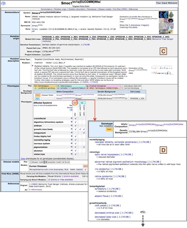 Figure 6.2