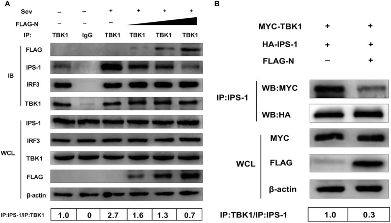 Figure 5