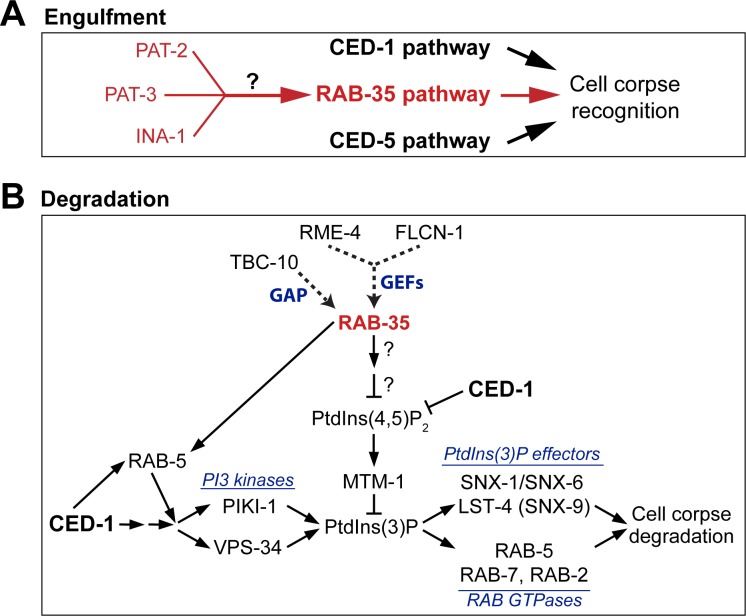 Fig 11