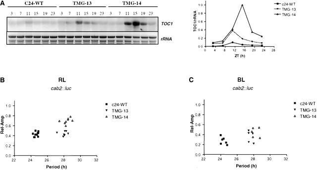 Figure 4.