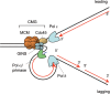 Figure 7.