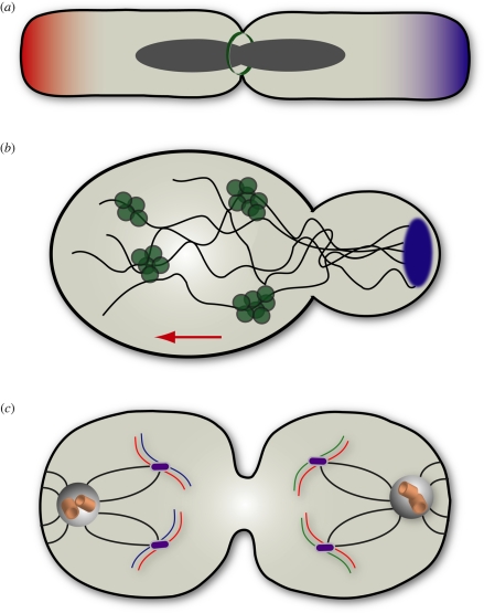 Figure 2.