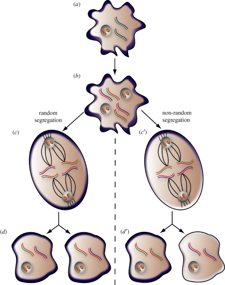 Figure 1.