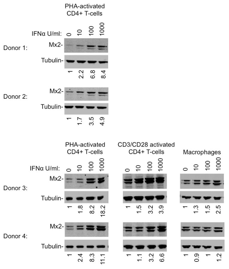 Extended Data Figure 3