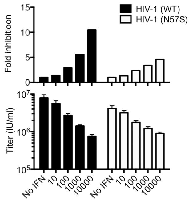 Extended Data Figure 7