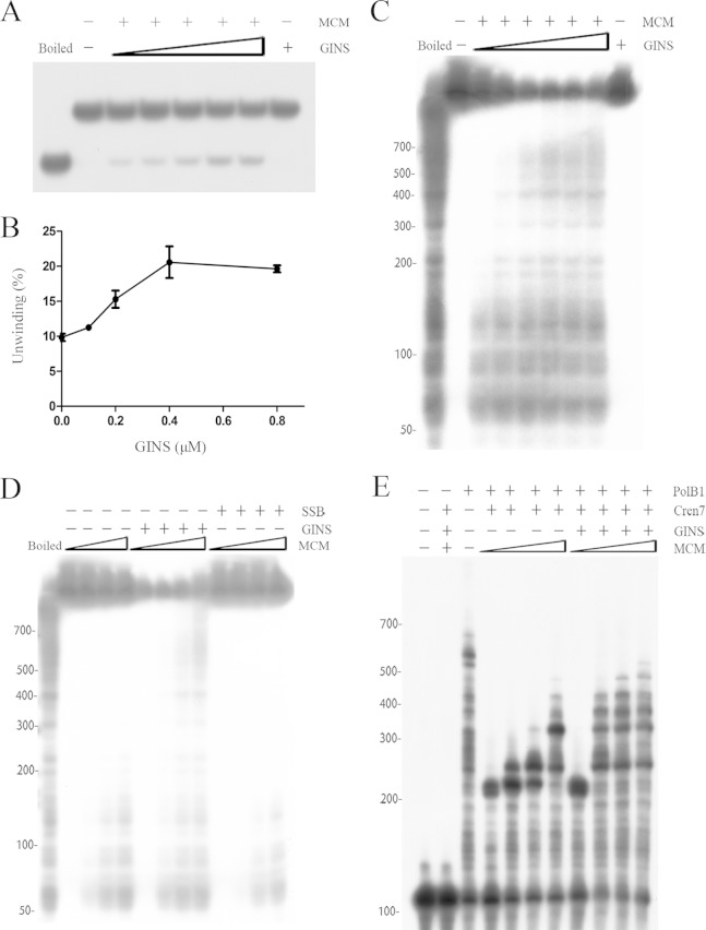 FIG 6