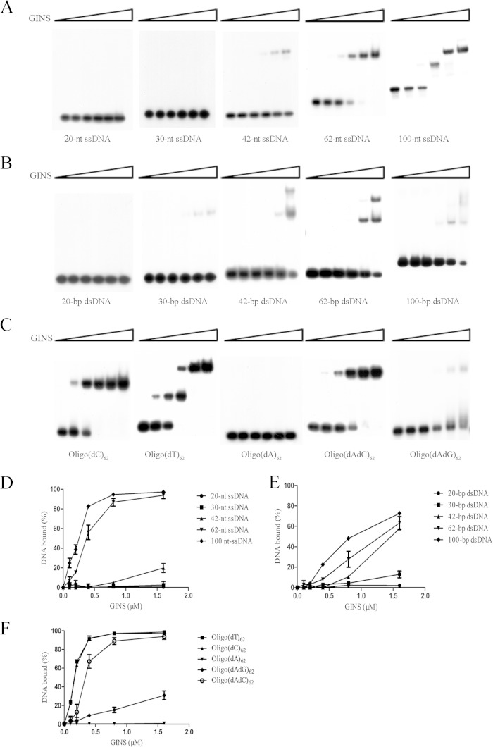 FIG 1