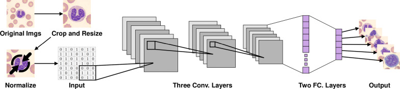 Fig. 2