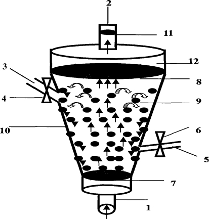 Fig. 1