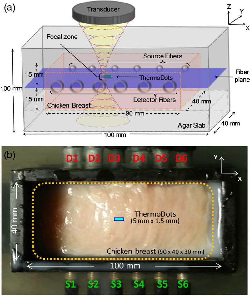 Fig. 1.