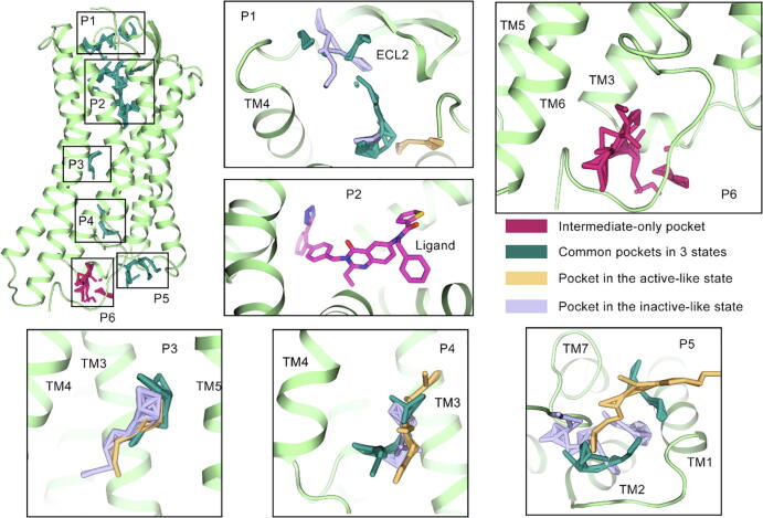 Fig. 7