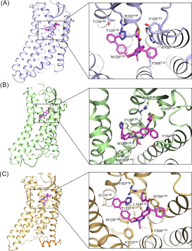 Fig. 6