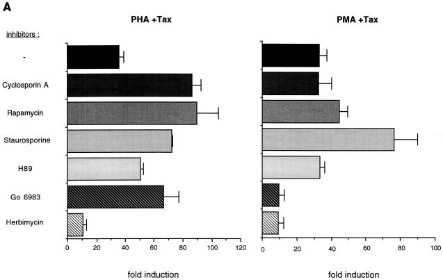 FIG. 4