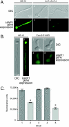 FIG. 4.