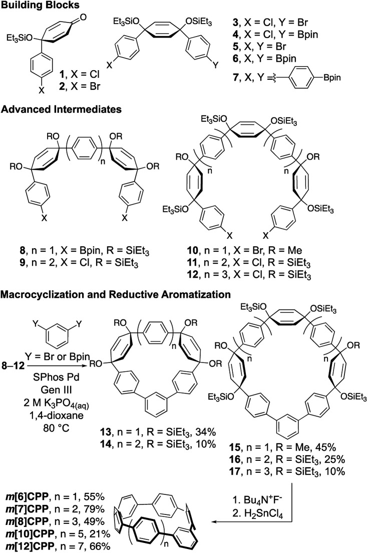 Scheme 1