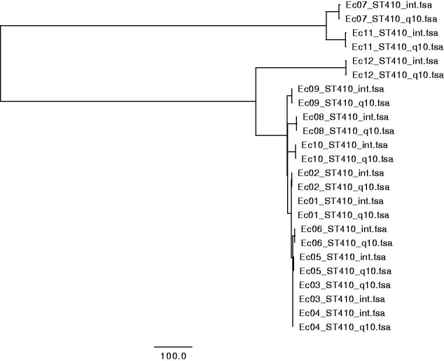 Figure 3: