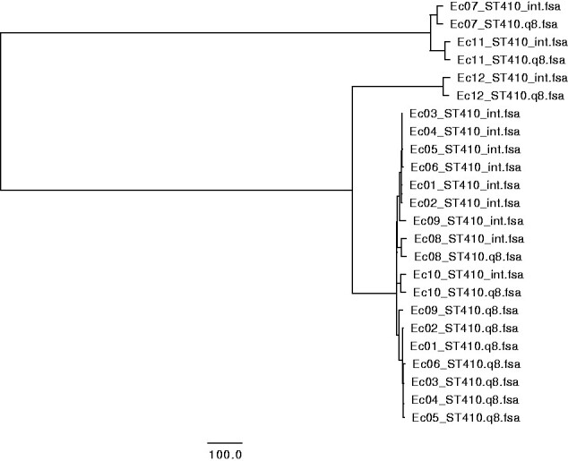 Figure 1: