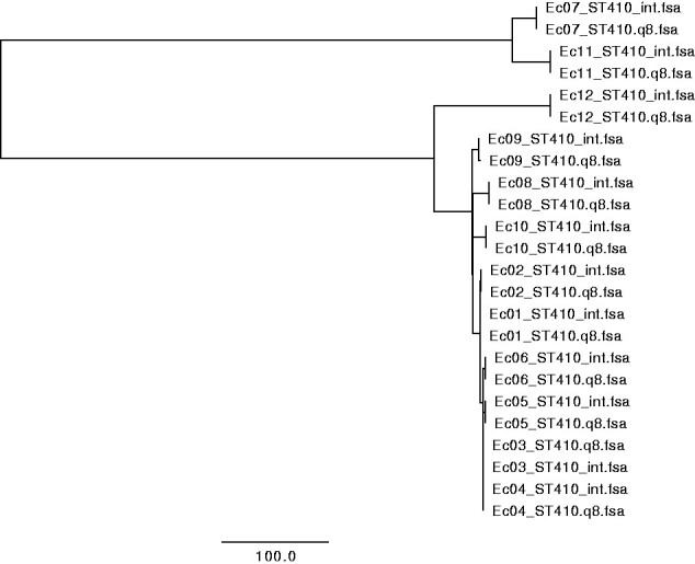 Figure 2: