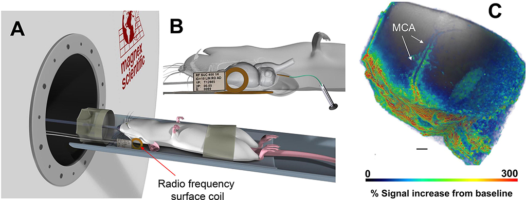 Fig. 2.