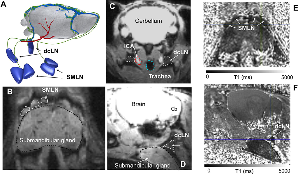 Fig. 3: