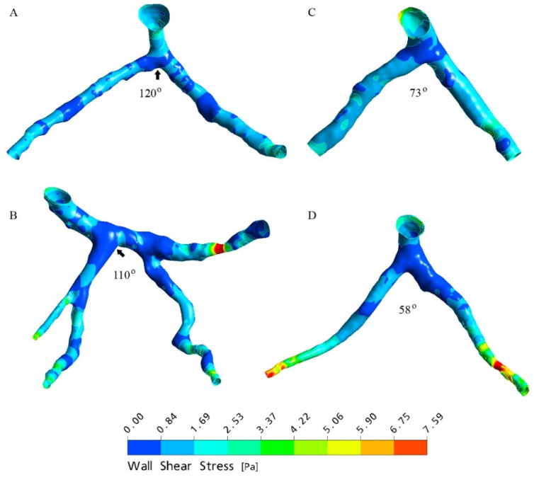 Figure 7