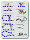 Fig. 2