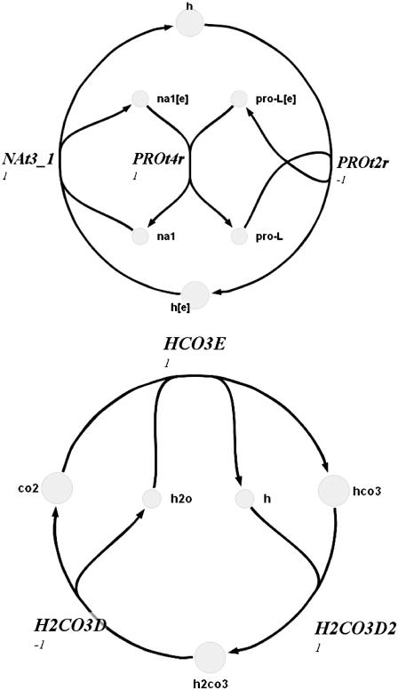 FIGURE 3