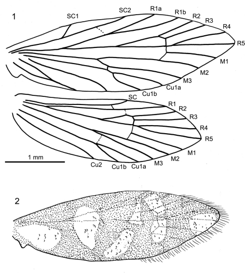 Figures 1–2.