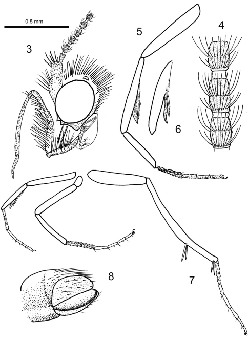 Figures 3–8.