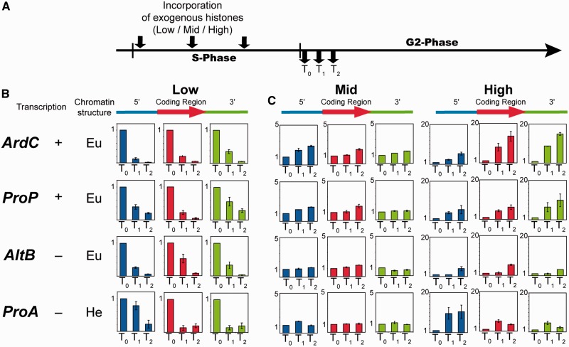 Figure 2.